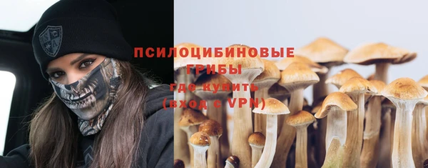 стаф Беломорск