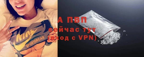 стаф Беломорск