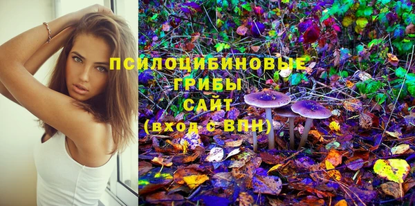 стаф Беломорск