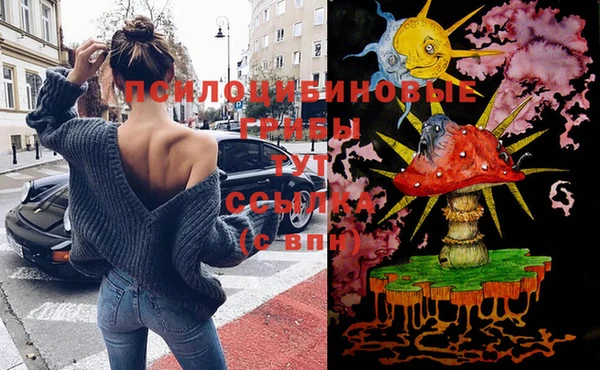 стаф Беломорск