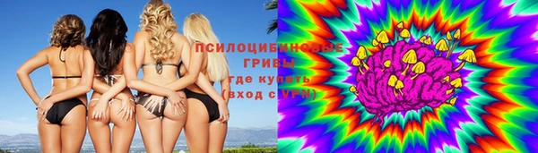 стаф Беломорск